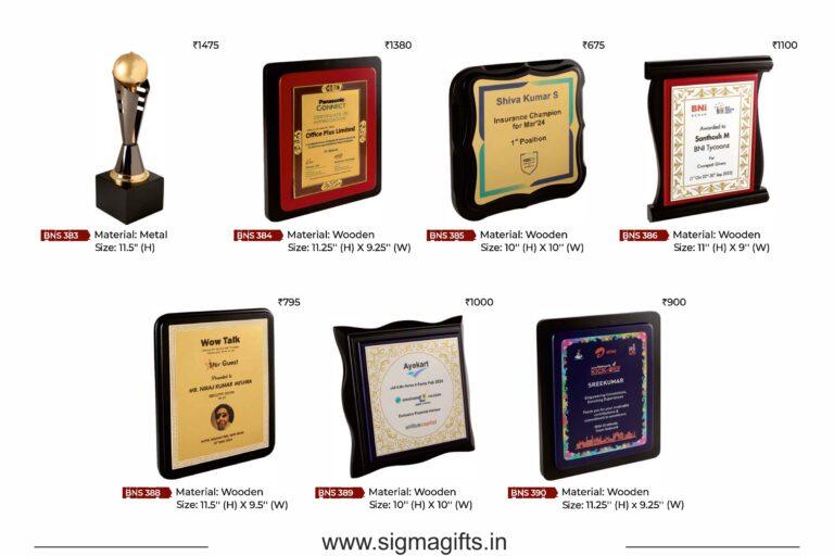 J. Elite Series - Awards & Trophy_Page_11